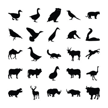 
Animals Solid Icons 

