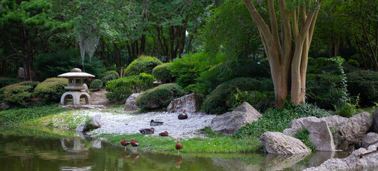 Japanese Garden with Ducks
