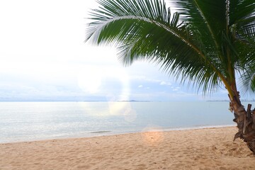 Coconut trees by the beach in the evening are perfect for relaxing on holidays.