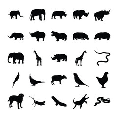 
Animals Icons Bundle
