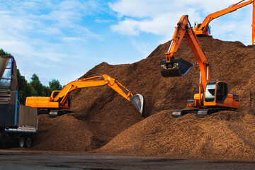 Backhoe standing on big pile of wood chips loading up into truck. Woodchips raw material storing...