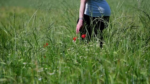 una donna incinta si rilassa passeggiando in un campo verde