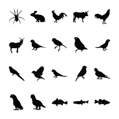 
Jungle Animal Icons Collection
