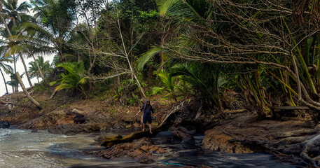 Fototapeta premium Caminhando na Mata Atlântica a Beira-Mar