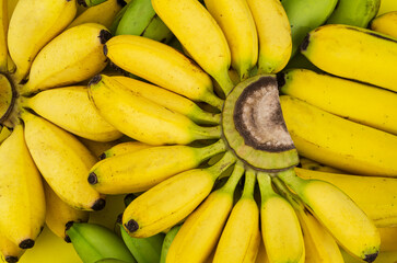 Different bananas background