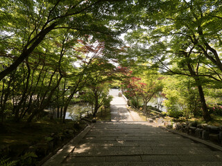 Jardines del Templo Eikando, en Kioto, Japón