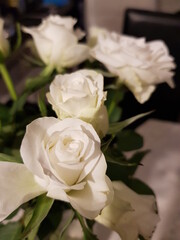 Fototapeta na wymiar White roses