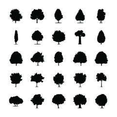 
Trees Filled Vectors 
