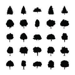 
Tropical Tree Icons 
