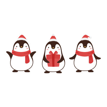 Penguin cute icon with christmas theme, gift hat and scarf, Penguin logo vector illustration 