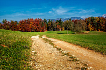 Dusty dirt track on farming field grassland. Autumn season with colorful leaves on trees. Wide shot