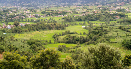 Fototapeta na wymiar Green paddy fields in the suburbs of Kathmandu valley in Nepal.