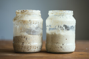 Bread sourdough starter. Batter. Fermentation process. Leaven.