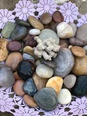 stones and coral reef