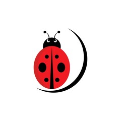 ladybug illustration icon logo vector