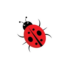 ladybug illustration icon logo vector