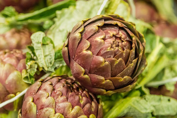 artichokes background