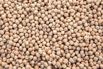 Roasted Hazelnuts