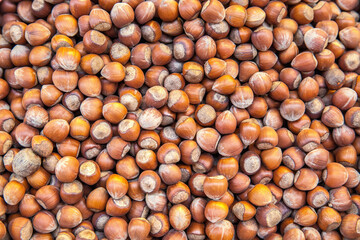 Shelled hazelnuts