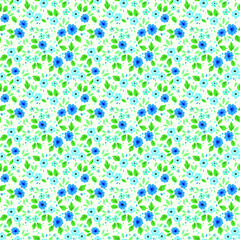 Cute floral pattern in the small flower. Ditsy print. Seamless vector texture. Elegant template for fashion prints. Printing with small blue flowers. White background.