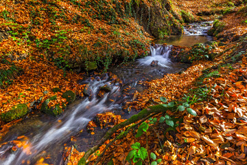 Fototapeta na wymiar Beautiful autumn landscape of small creek waterfall streaming in a beautiful autumn forest at sunset among the fallen colorful bright leaves.