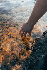 Hand of a young woman with rings touching the crystal clear water of the Mediterranean Sea