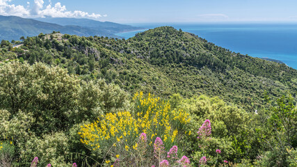 Paysage côtier de bord et de montagne en mer sur la Côte d'Azur - Coastal and mountain landscape by the sea on the French Riviera