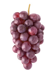 Hanging cluster of red grapes isolated on white background