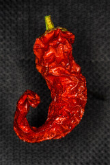 Dried weird unusual crooked red chilly pepper (paprika) pepper macro shot close up on a grey wooden...
