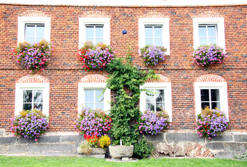 Fassade eines alten Sichtziegelhauses mit Efeuberankung und üppige Blumen-Gestaltung