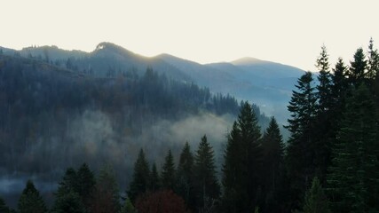 Flying over treetops entering a misty mountain valley between rugged peaks in the early morning in an atmospheric landscape - aerial view