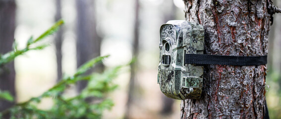 Camera trap or spy photo camera in forest.