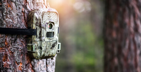 Camera trap or spy photo camera in forest.