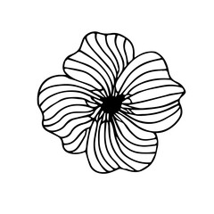 Stylized botanical vector illustration of floral. Ink drawing in Doodle style. Isolated object on a white background. Decorative element for spring and summer design, wedding, vignettes.