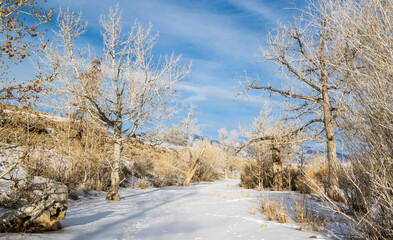 View of Altay mountains