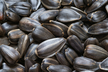 sunflowers background