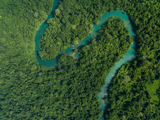morning in the mountains at montes azules nature reserve chiapas mexico aerial view