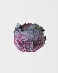  Red cabbage on  white