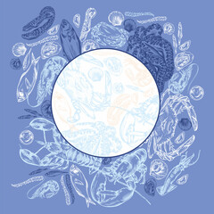 Illustration of different seafood.