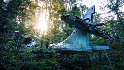 crash site of canso bomber in forest