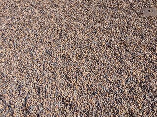 Pebbles and Stones in Garden