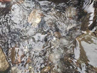 close up of water flowing in the river
