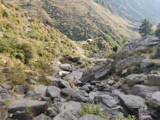 Fototapeta na wymiar mountain river in the mountains