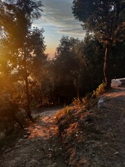 autumn in the forest