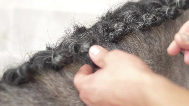 doing rubber band plaits braid on horse slow motion