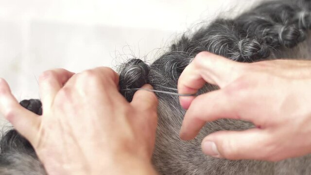doing rubber band plaits braid on horse slow motion