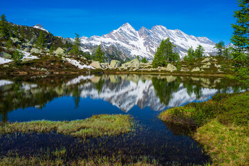 Alpine lake in idyllic environment amid rocks and forest. Natural reservoir of fresh water at high altitude on the mountains.