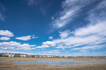 Calgary, Alberta, Canada, June 01 2020:  An subdivision developed up to designated habitat at the City Scape Wetlands.