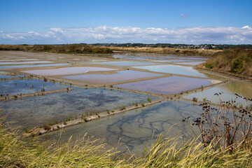 Fototapeta na wymiar coloured salt fields in brittany