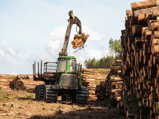 Logging Equipment Forest Machine - obrazy, fototapety, plakaty